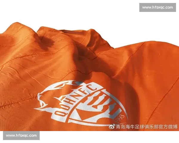 海港吉祥物悬而未决，球迷热议背后的期待与共鸣